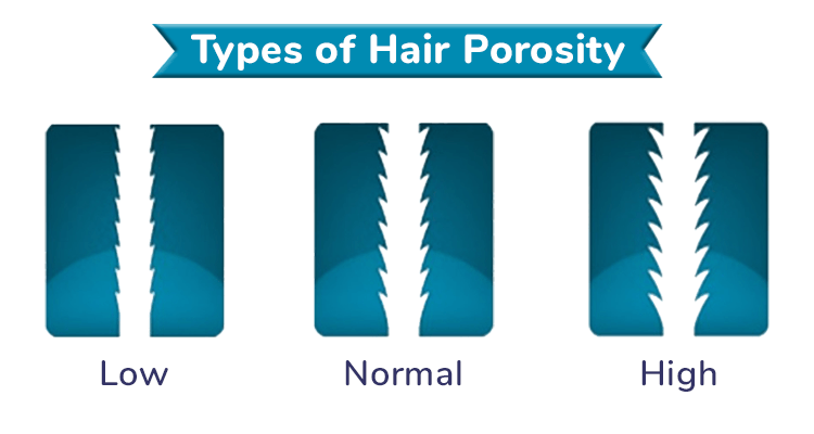 A All-In-One Guide for Hair Porosity | RichFeel